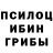 Псилоцибиновые грибы Magic Shrooms Jackee Love