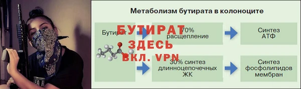 ешки Бородино