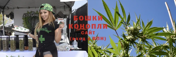 СК Михайлов