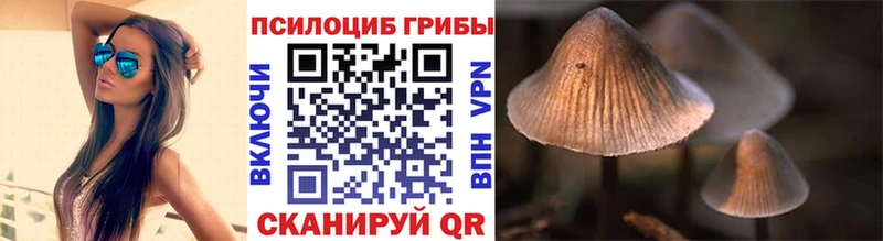 Галлюциногенные грибы GOLDEN TEACHER  Луза 